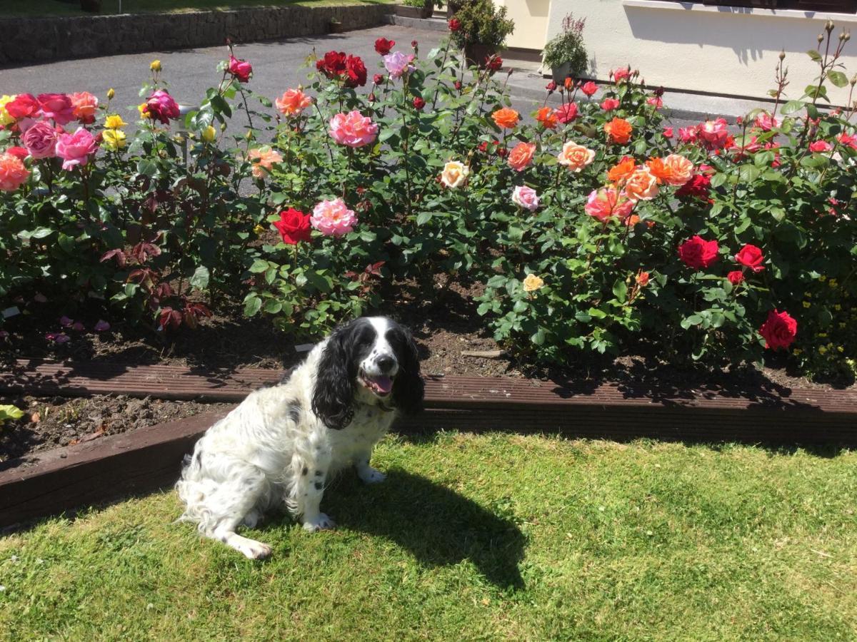 Weir view Bed&Breakfast Durrow Exterior foto